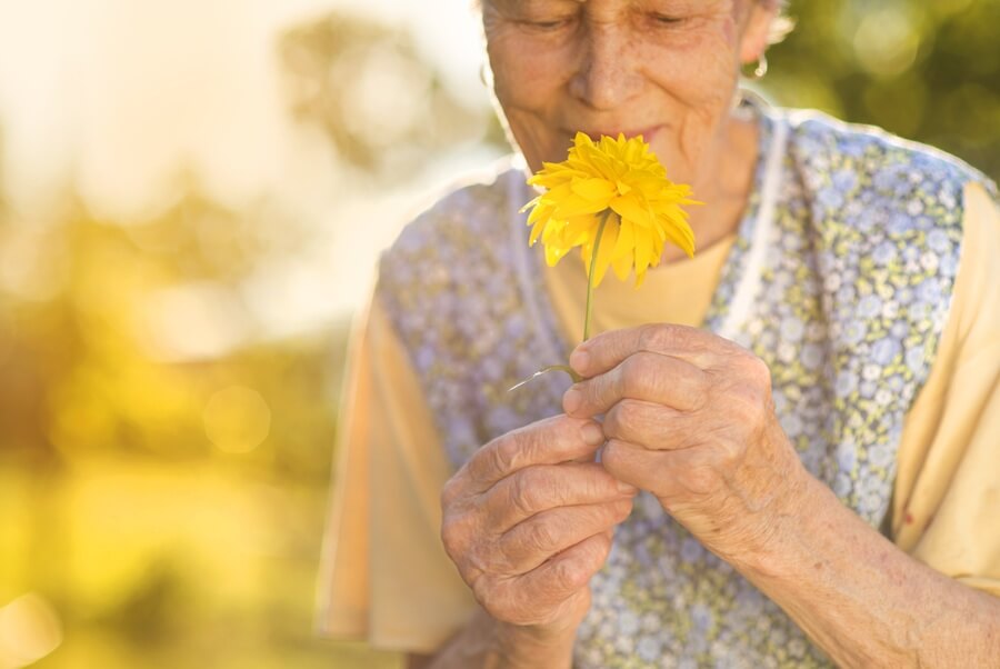 the link between memory and smells